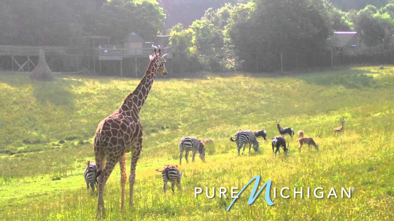 binder park zoo
