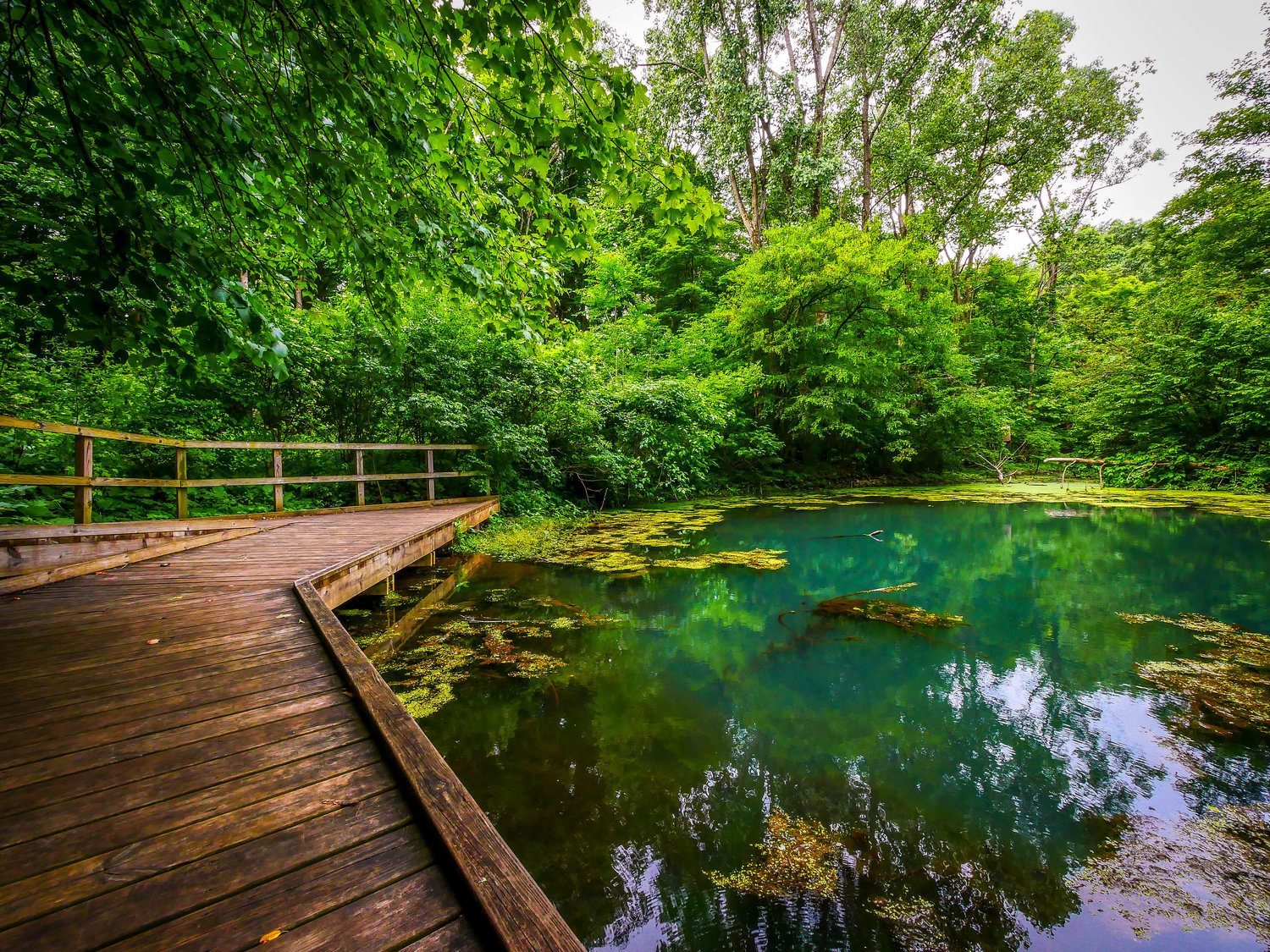 kalamazoo nature center